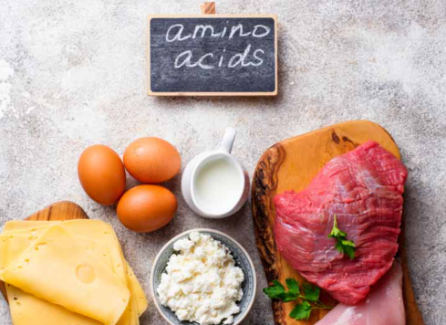 Do Amino Acids Contain Calories.png